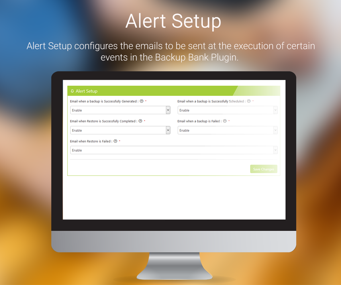 Other Settings - WordPress Backup and Restore Plugin