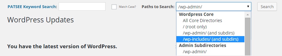 Core Search Interface