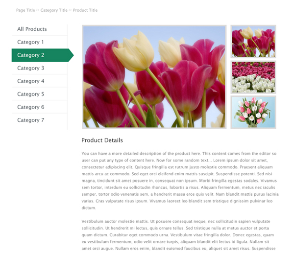 Another example of WP Catalogue front-end, product detail view