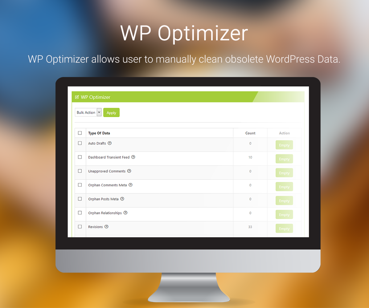 WP Optimizer Screen