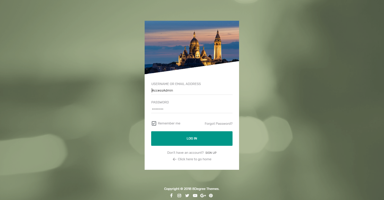 WP Custom Admin Login Demo 5