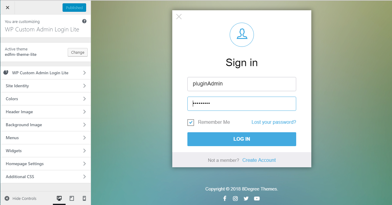 WP Custom Admin Login - Customizer Option