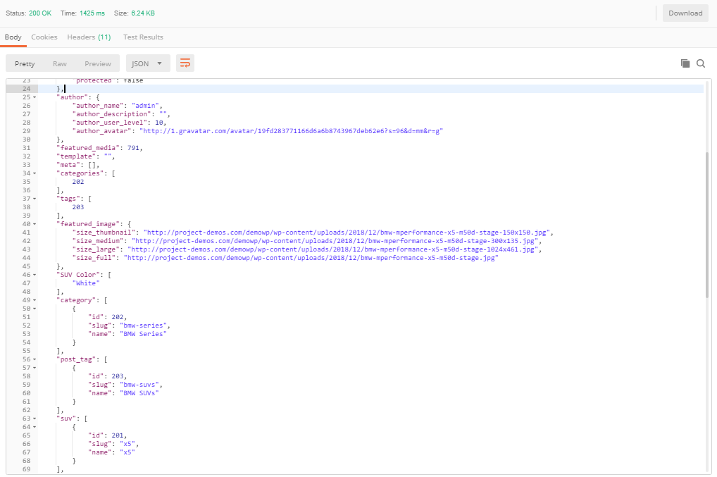 Shows the selected meta information in REST API client