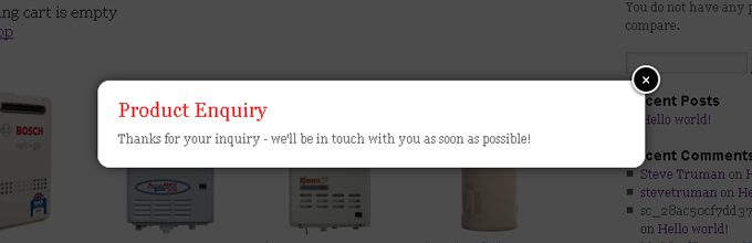 After email sent success message that shows in the pop-up window.