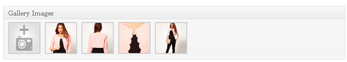 WP e-Commerce Dynamic Gallery on-page Gallery Image easy manager
