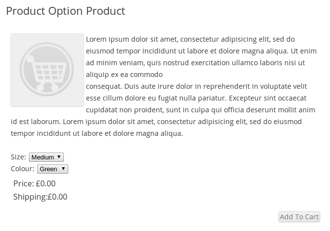 Product options on the frontend