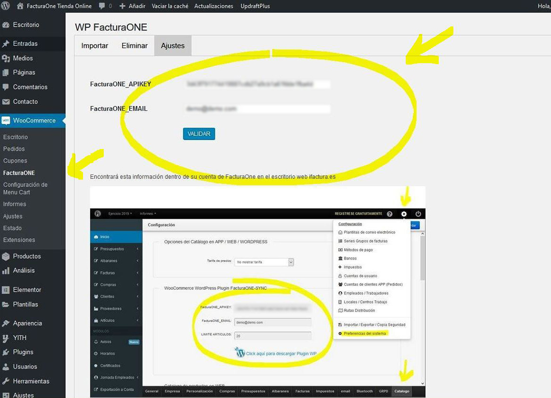 Pantalla de validación de APIKEY en el plugin