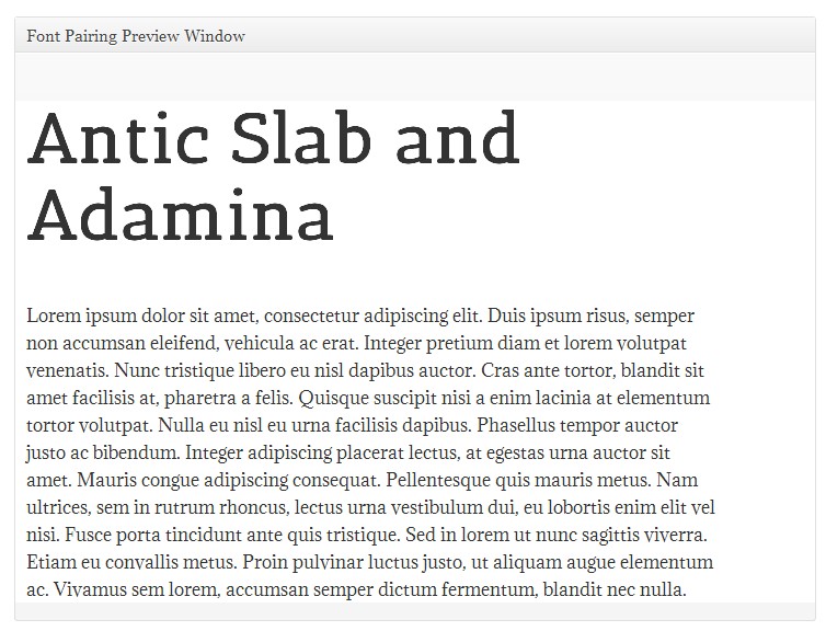 Screen shot showing the preview window.