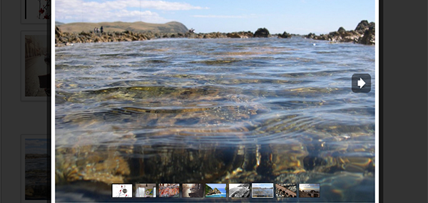 Screenshot of gallery lightbox.