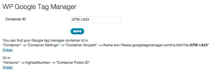 Wp Google Tag Manager settings