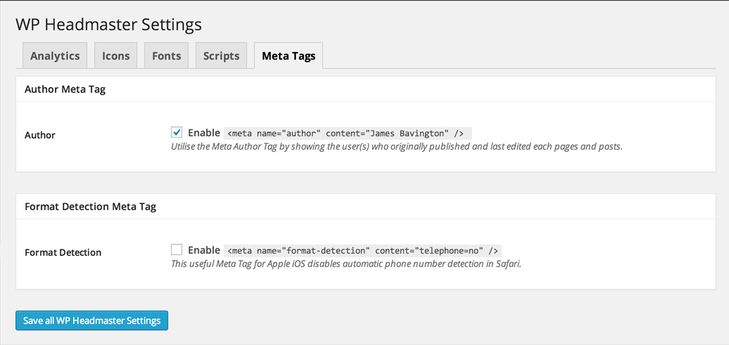 The final tab 'Meta Data' allows you to specify either a dynamic Meta Author Tag and other useful Meta Tags.