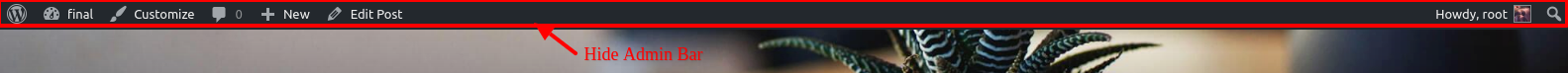 Admin Toolbar Visibility Option