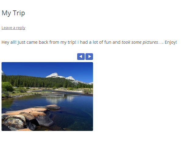 The image carousel with navy buttons, and 1 300x225 image visible.