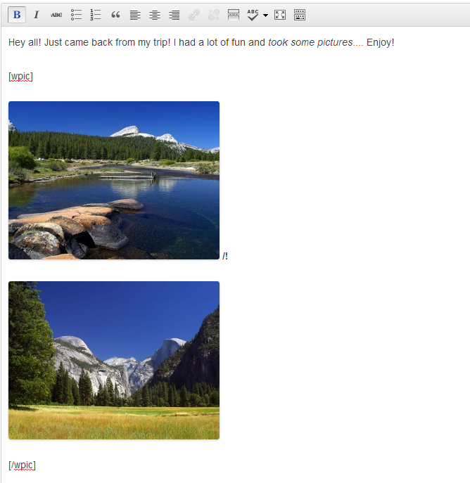The post editor with the default settings which created the carousel in the third screenshot.