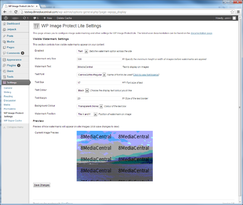 The settings page for WP Image Protect Lite.