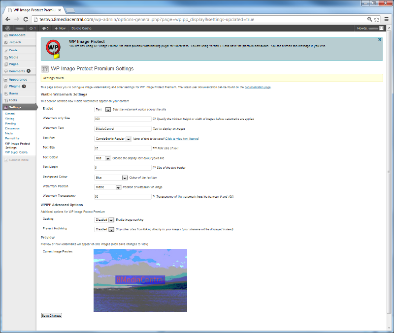 A preview of the settings available in WP Image Protect Premium.