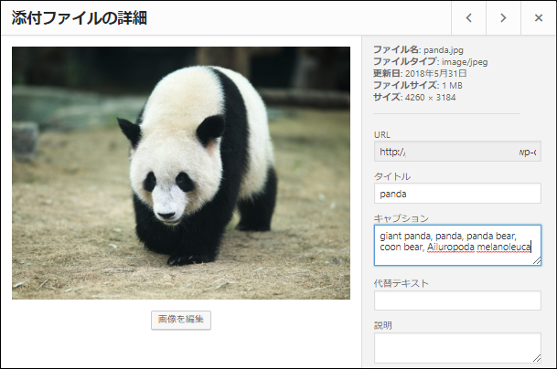 The result of image recognition is shown in the caption field in the attachment details.