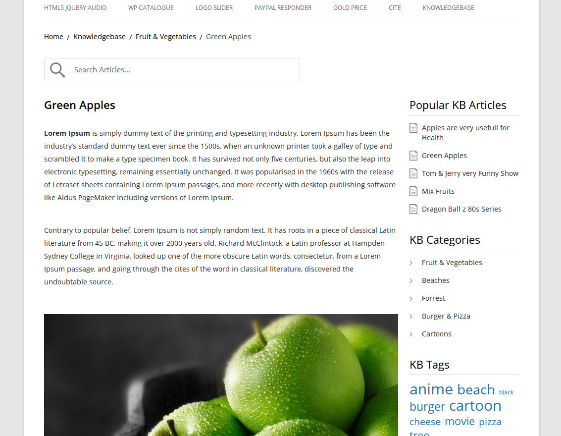 Another example of WP Knowledgebase front-end, article view
