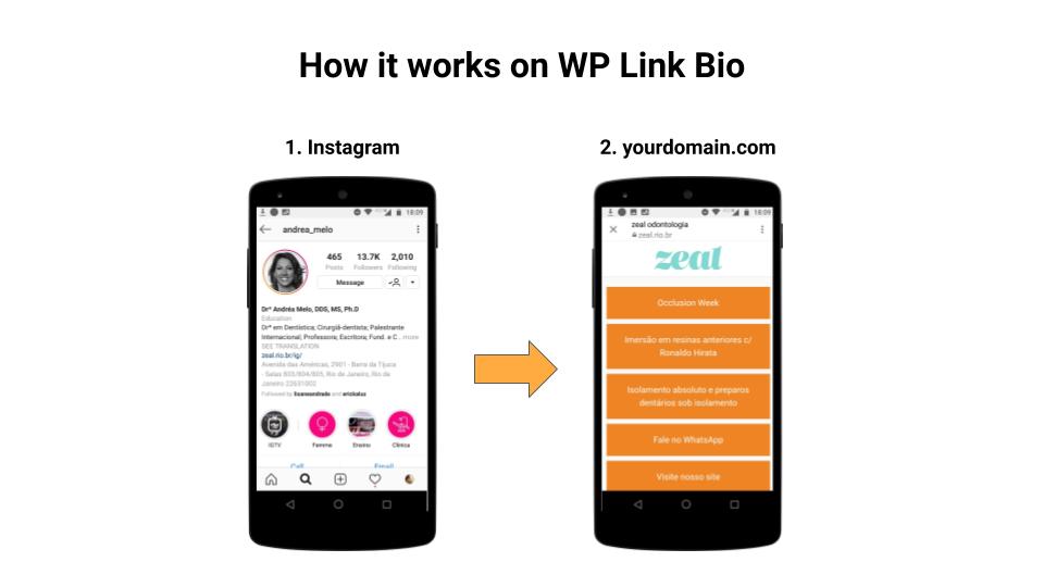 WP Link Bio in action