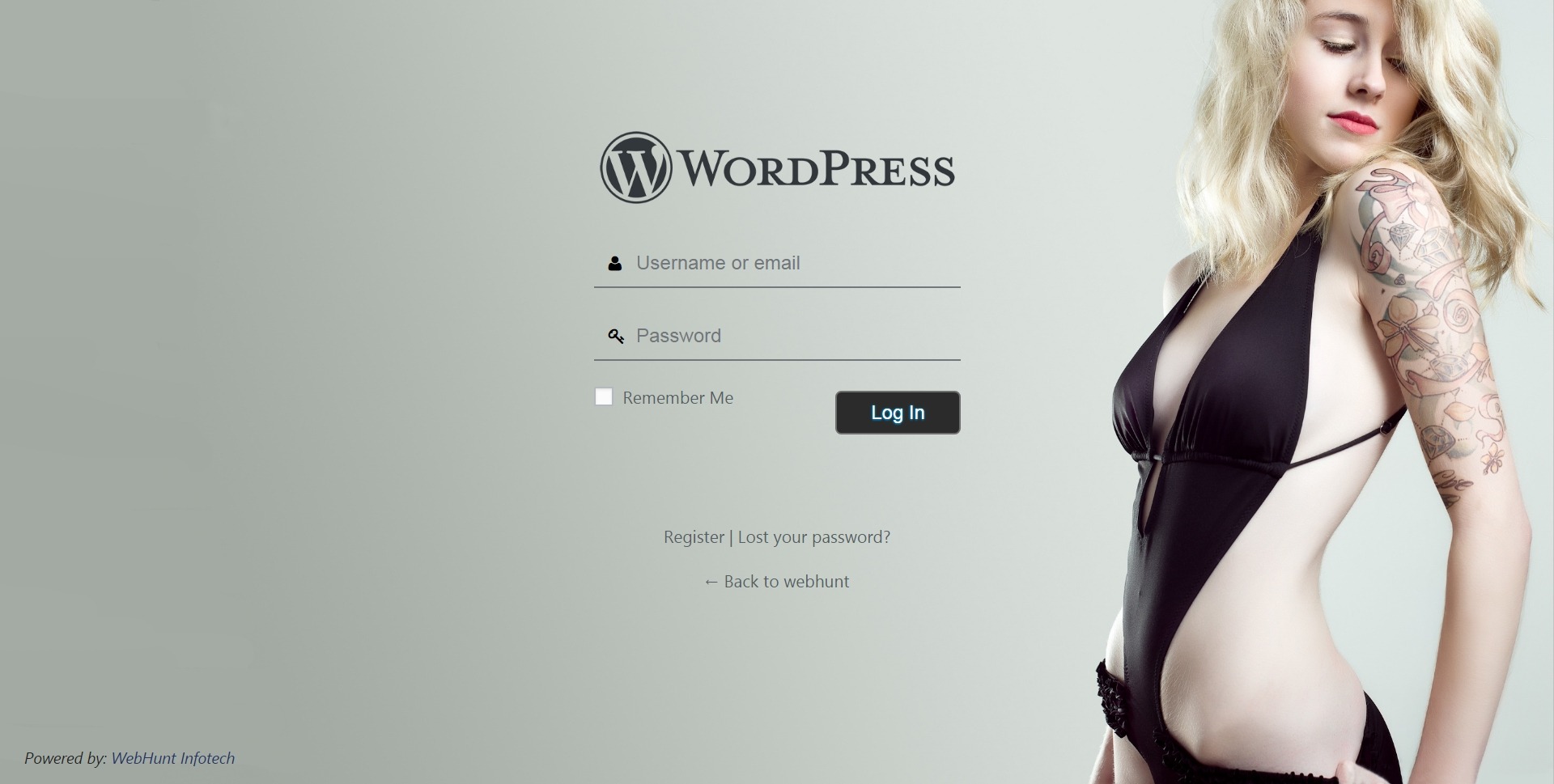 Custom Login Page Preview 6
