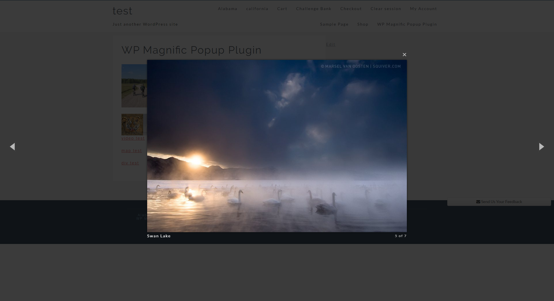 Image gallery popup