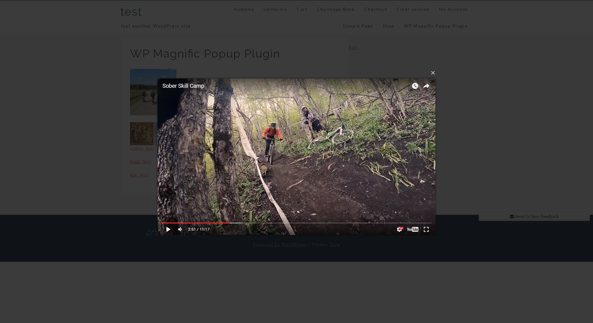 Youtube video popup