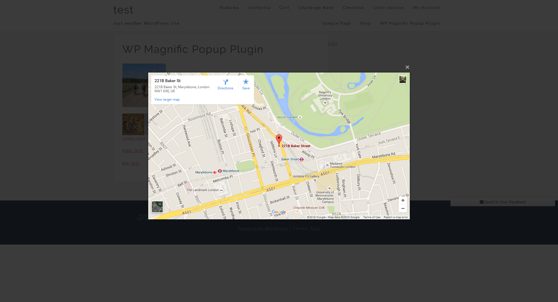 Google map popup