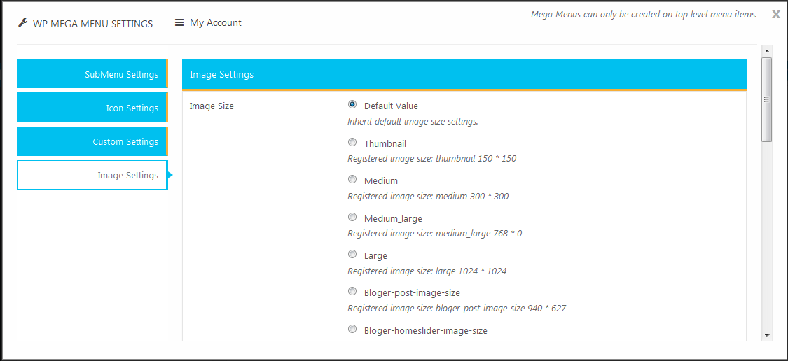 Top Level Menu Settings - Flyout Settings