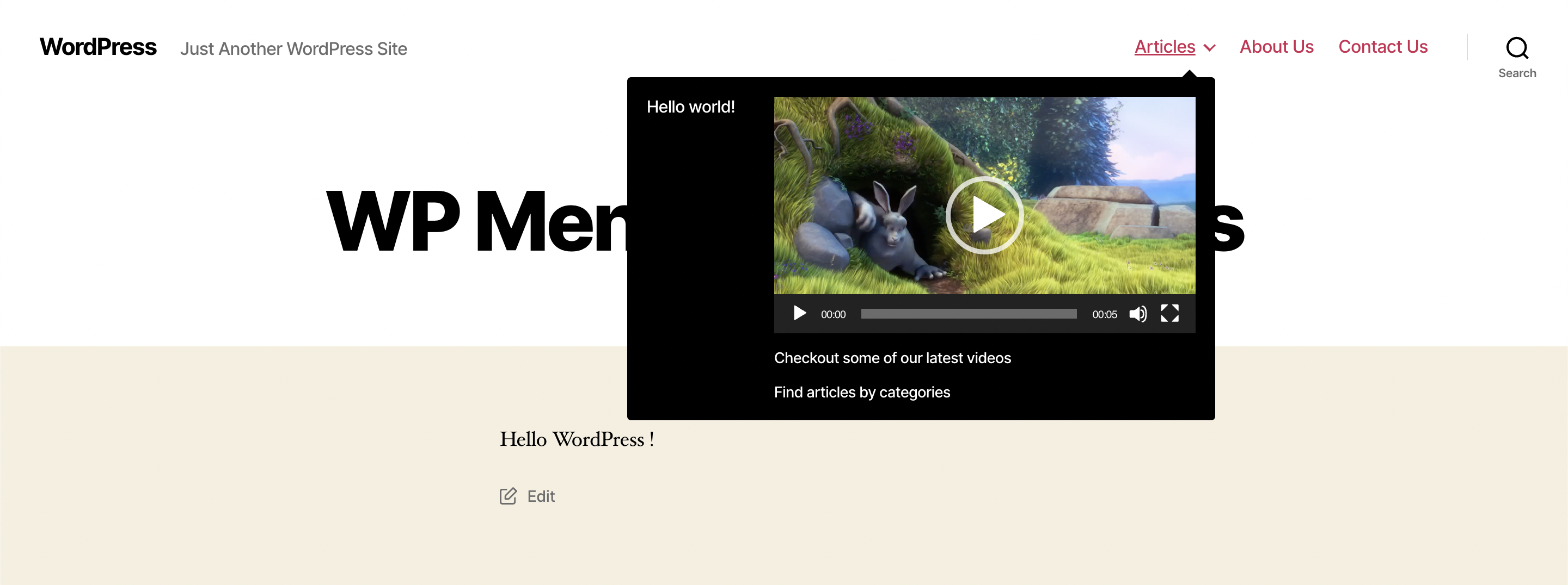 Custom HTML field added under Appearance -> Menus