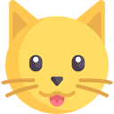 插件图标