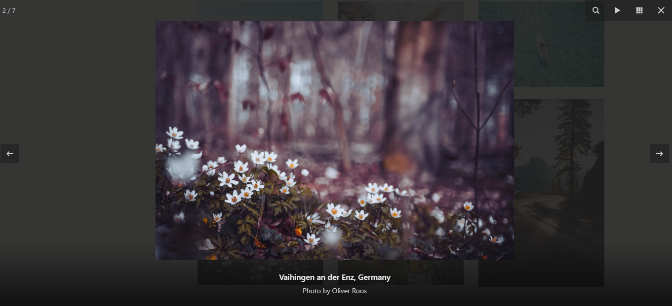 Image Captions are displayed as slideshow captions.