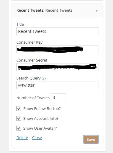 Widget Setting Options