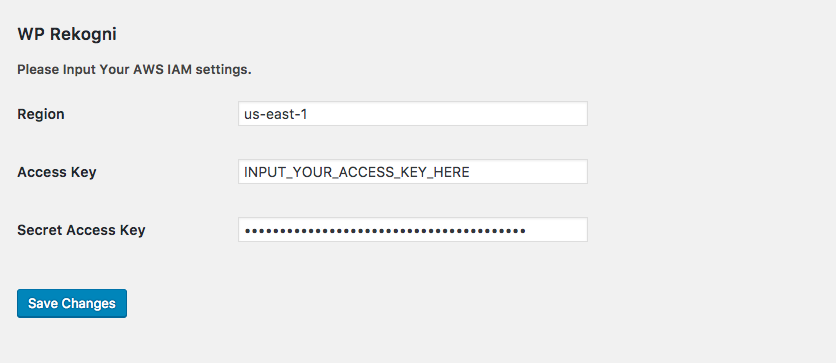 Input Your AWS IAM settings.