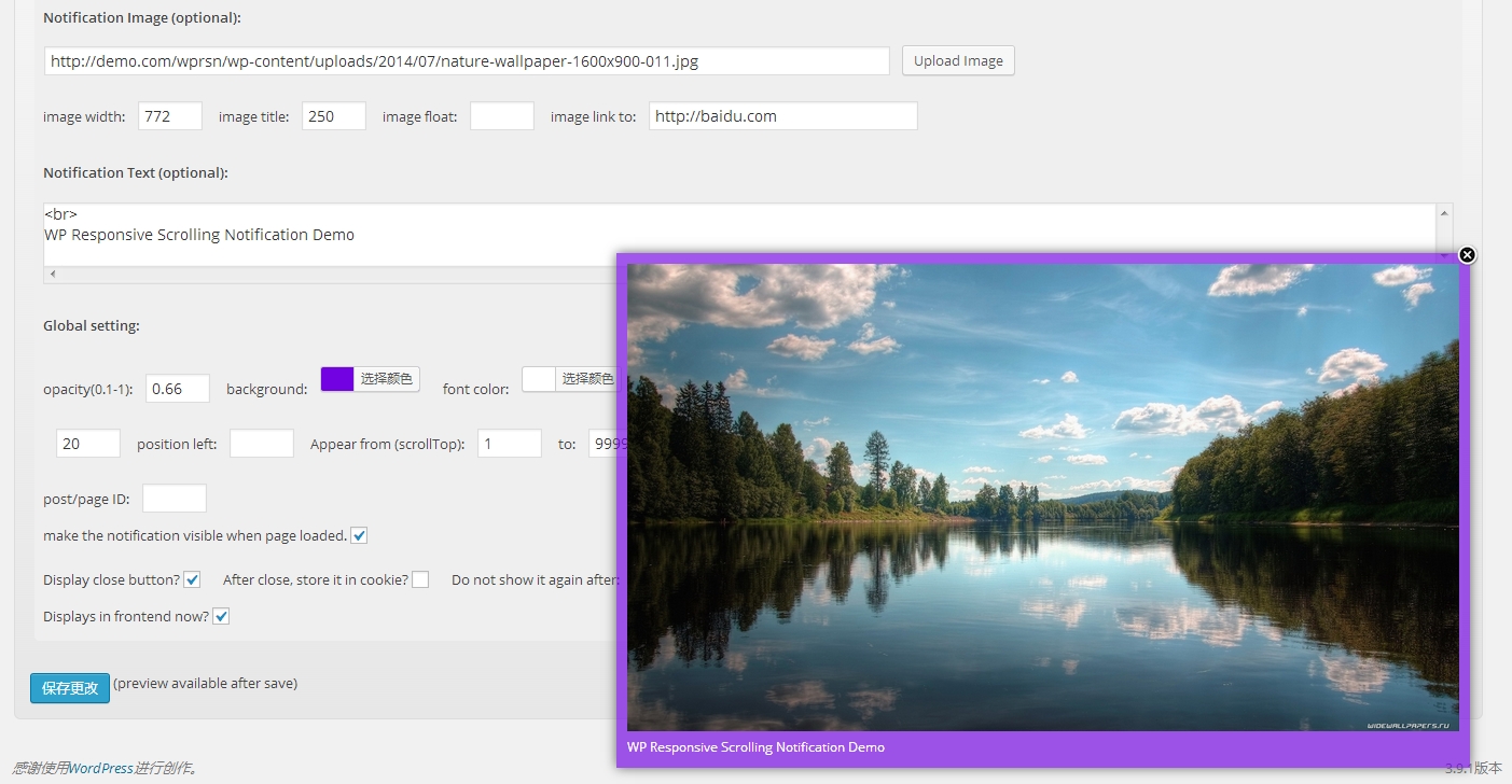 the options page with preview.