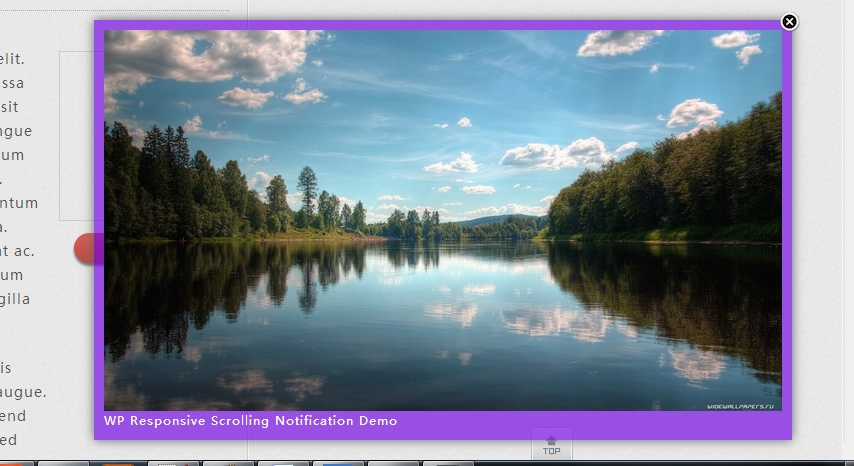 the front-end demo screenshot.