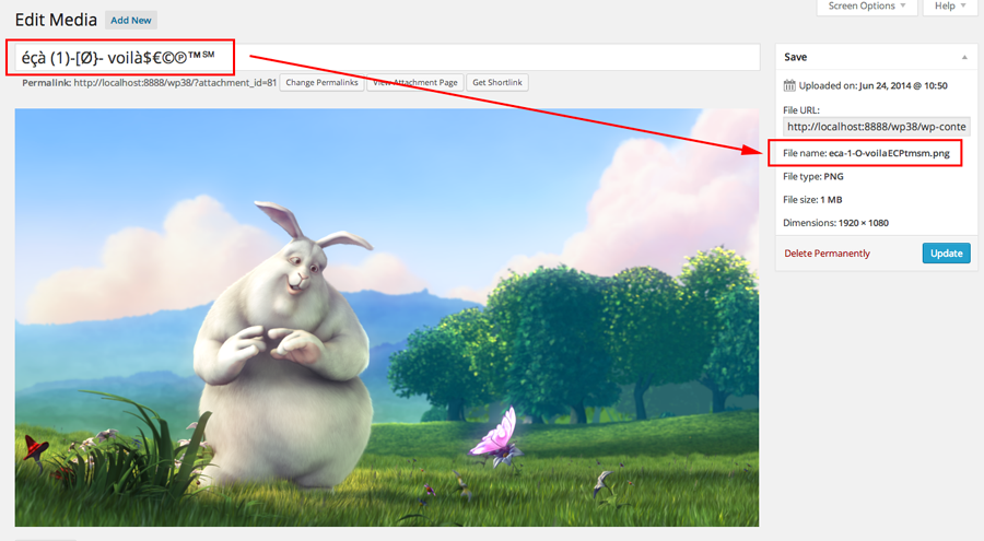 File name sanitized in Media Library