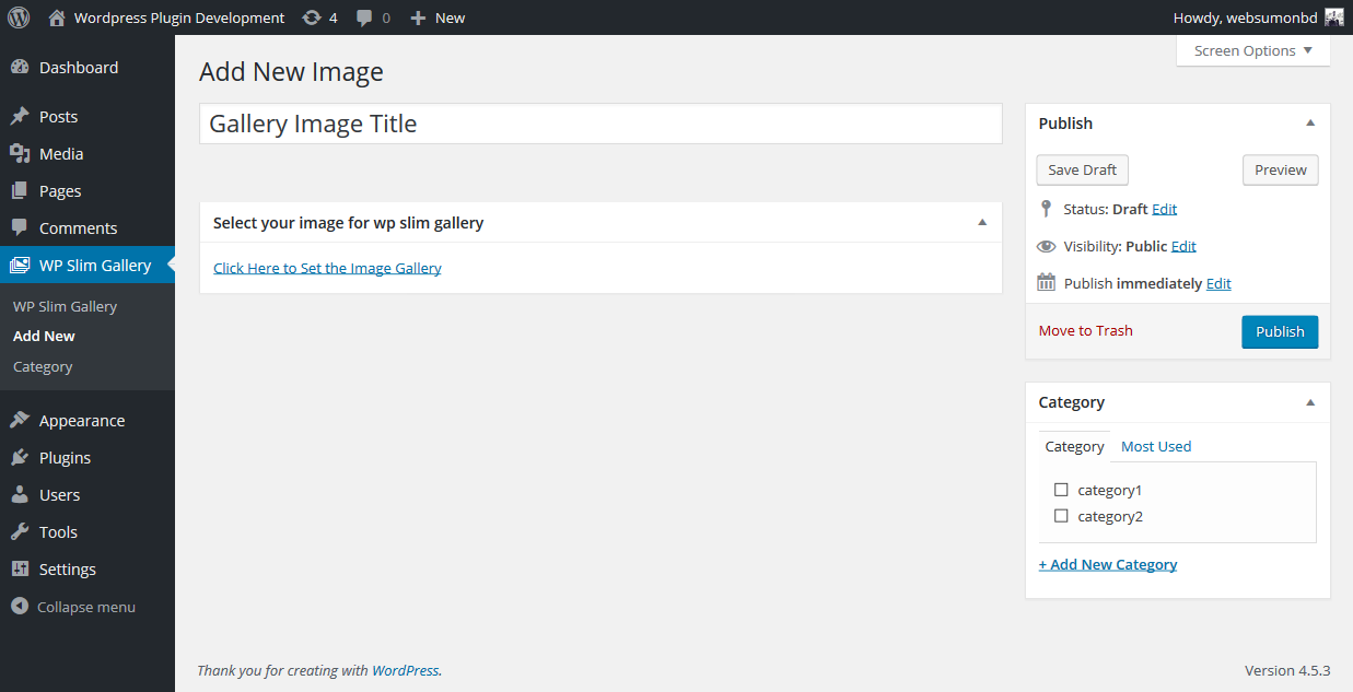 Dashboard Appearnce after activating the plugin