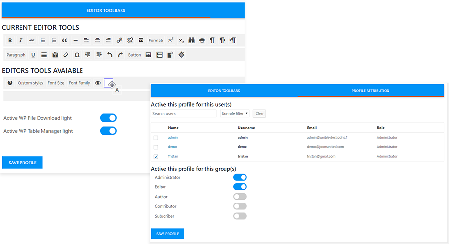 Manager editor profiles with custom tools