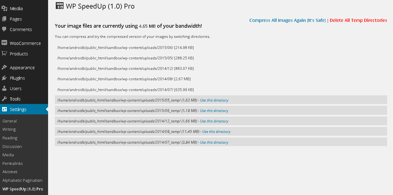 WP SpeedUp > Google PageSpeed Insights