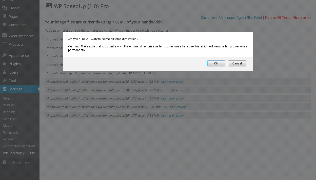 WP SpeedUp > Pingdom Website Speed Test (After Image Optimization)