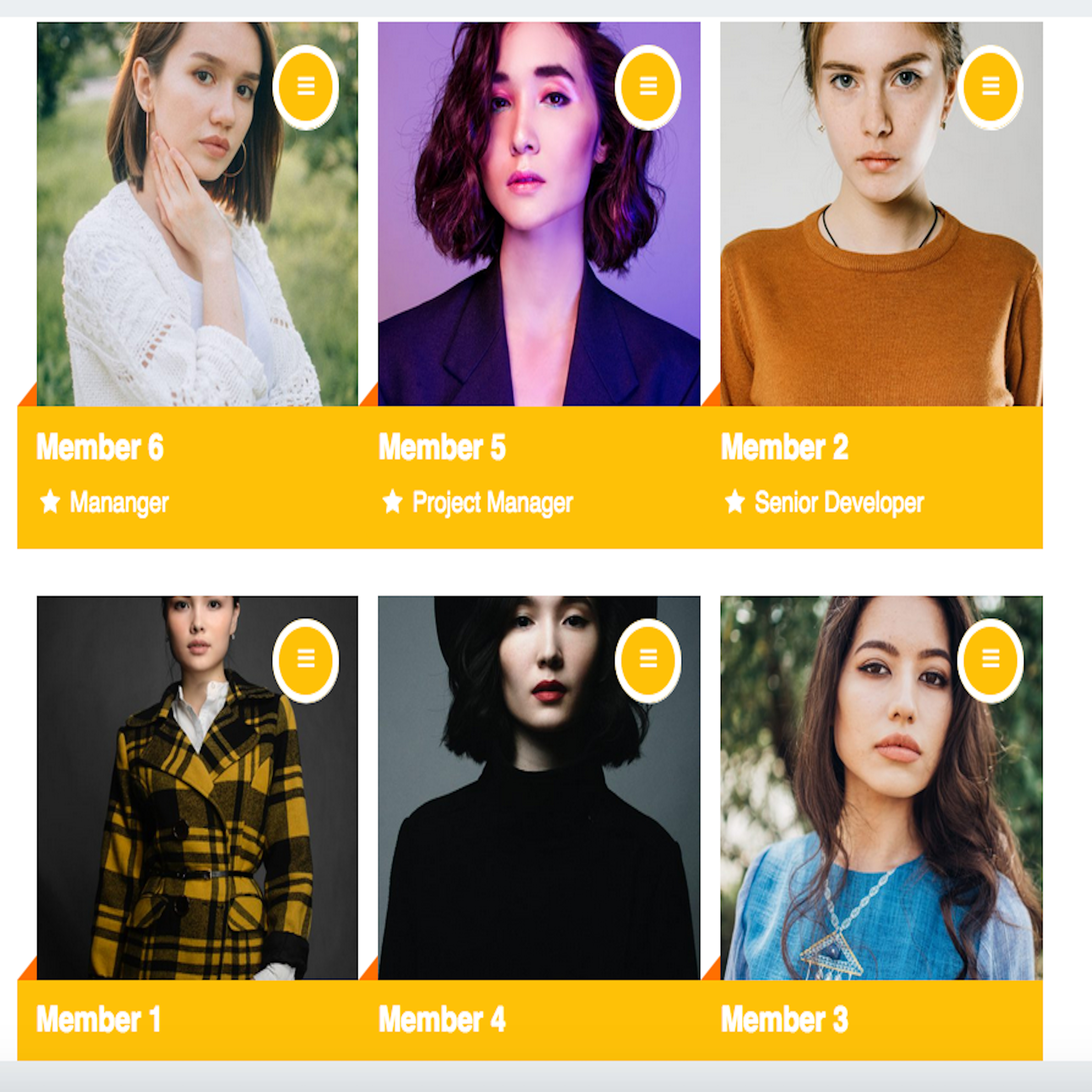 This is how the team will show on the front-end