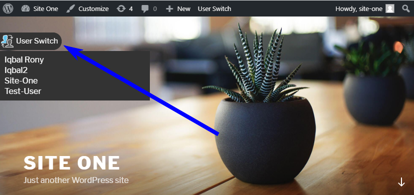 User Switch Front-End Sticky Menu.