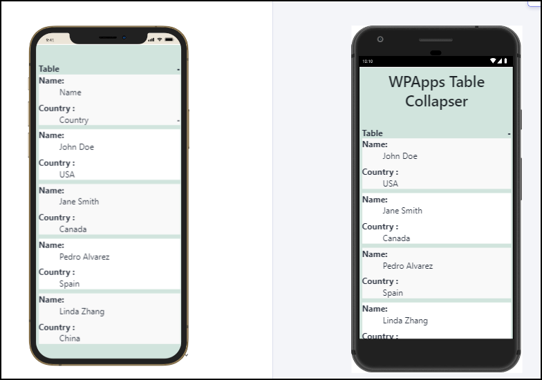 **Responsive Table View:**