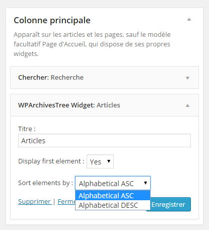 Widget configuration in admin