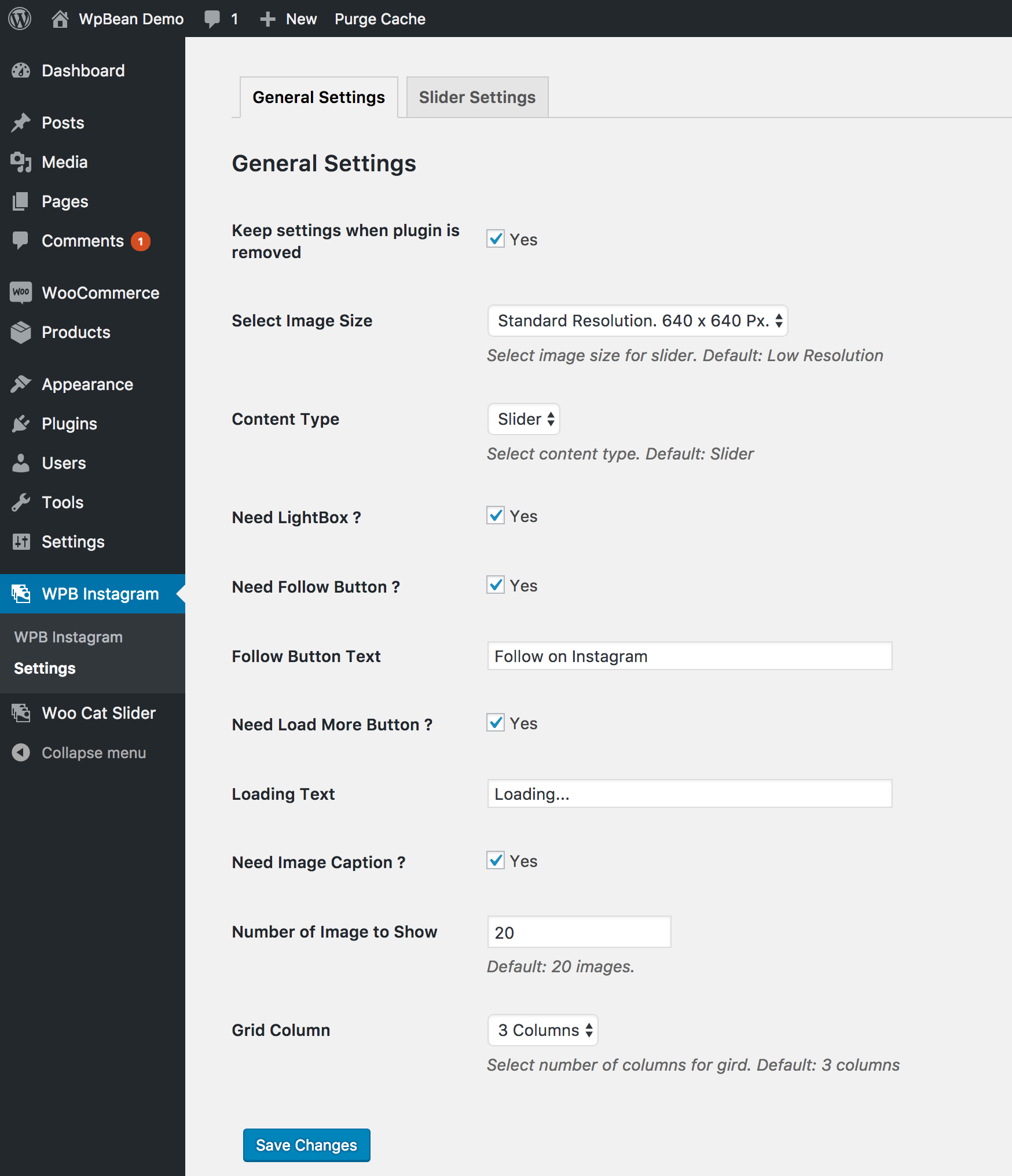 WPB Instagram Gallery Slider and Grid general settings