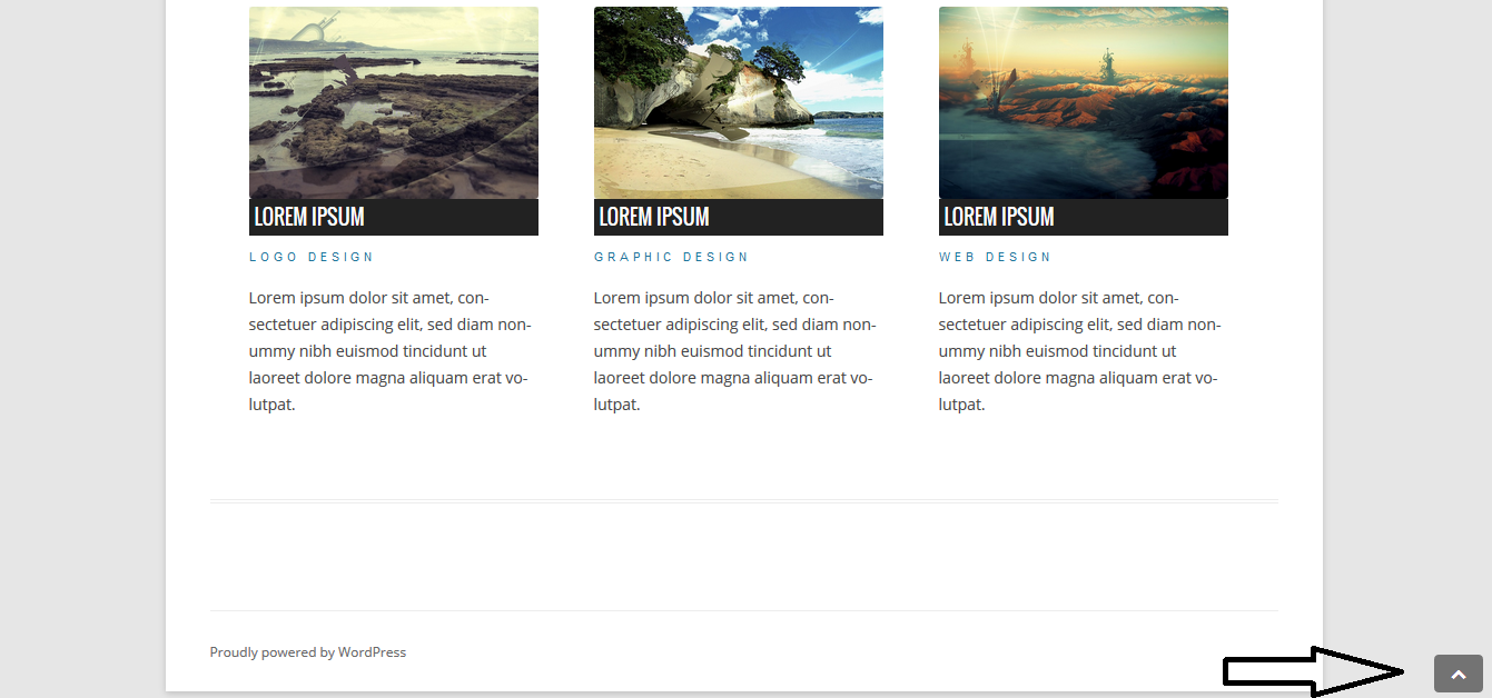 Scroll to Top icon