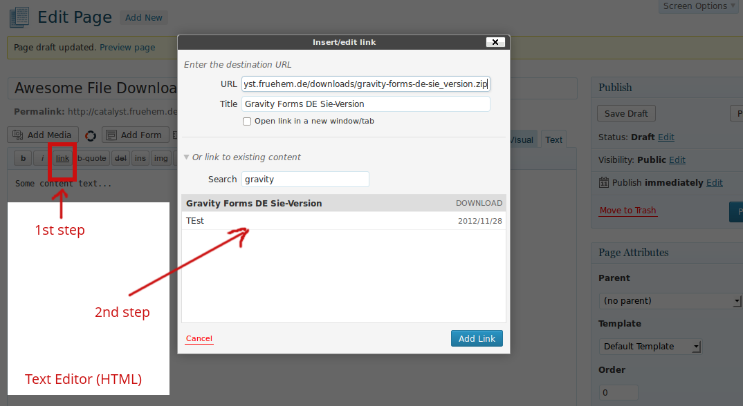 Insert Download link via Text Editor (HTML)