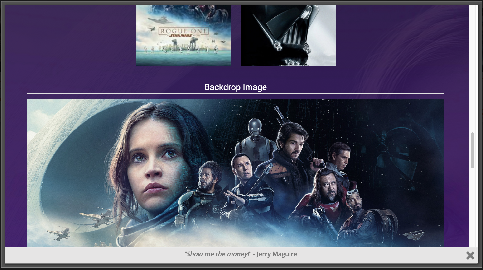 The Bulk Editing section. Bulk Editing is only available with <a href="https://www.jakerevans.com/shop/">WPFilmList Premium</a>.