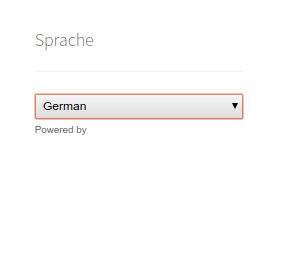 Widget on front end of website